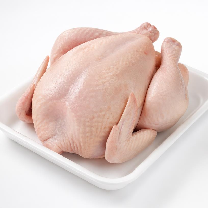 Broiler Chicken
