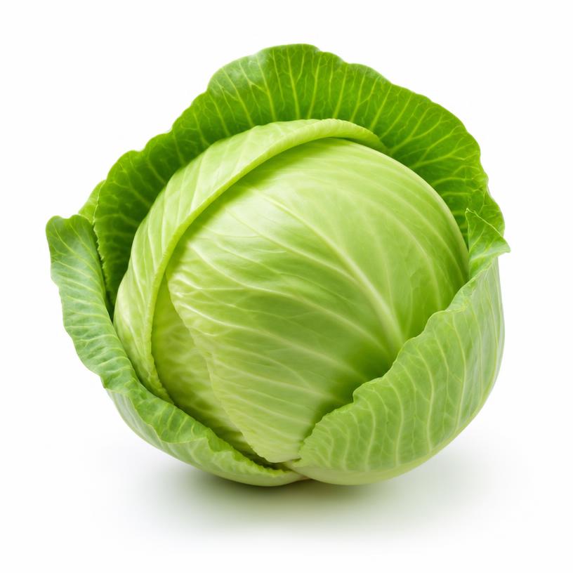 Cabbage