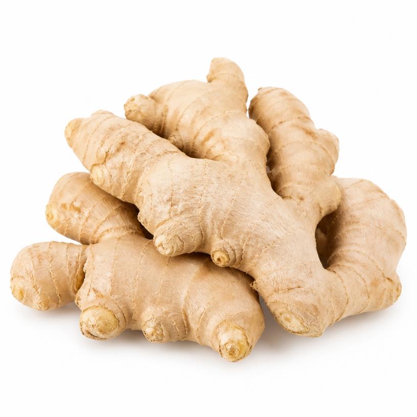 Ginger