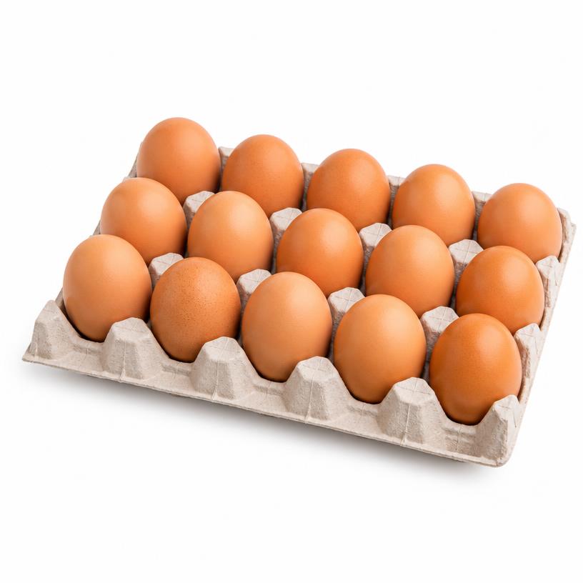 Half Tray of Eggs