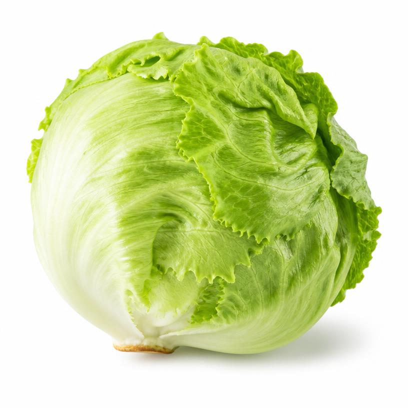 Lettuce